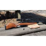 Gamo Arrow PCP Classic .22 - Image 2