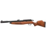 Gamo Arrow PCP Classic .22