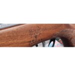 Gamo Swarm Bone Collector 10X GEN3i .22 Air Rifle - Image 2